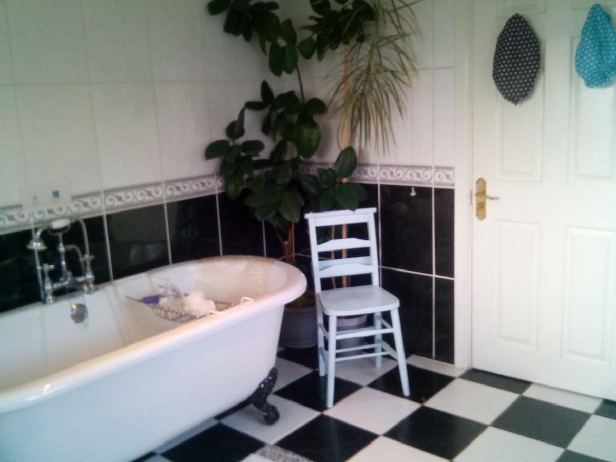 Bed and Breakfast Y Garreg Wen Llanybydder Экстерьер фото